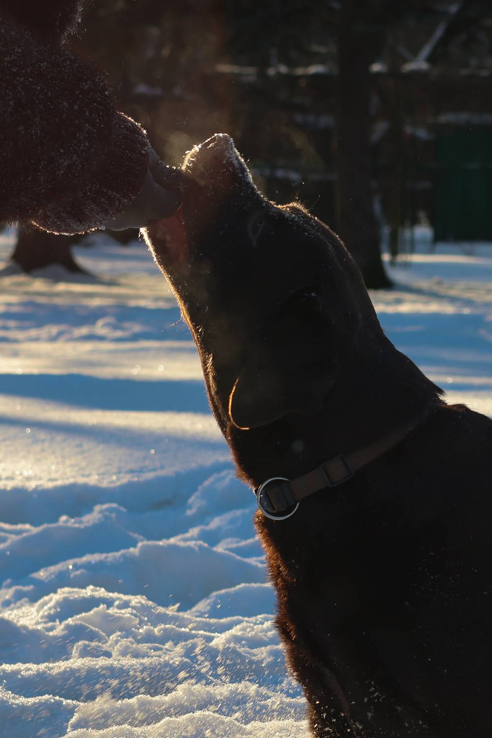 Photo #13180624