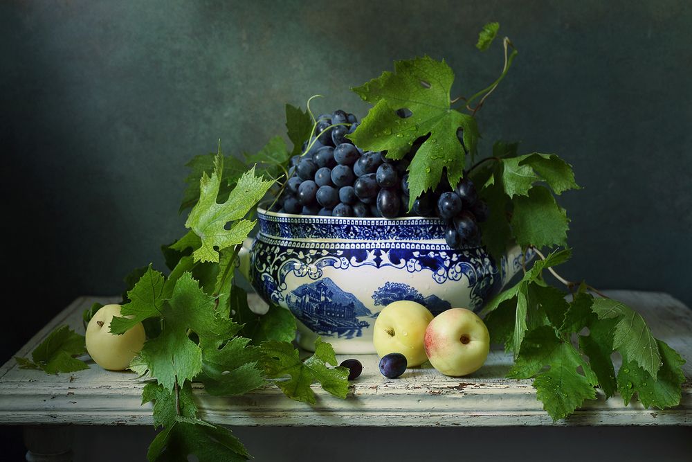 Синий виноград