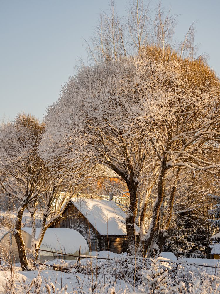 Photograph by Юлия Герман