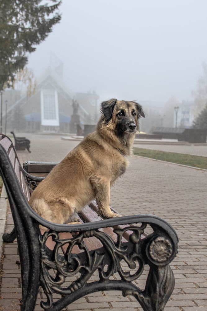Photograph by Альфия Агзами