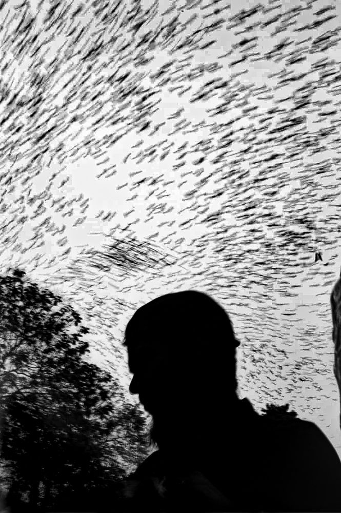 Photograph by Sumit Jadeja