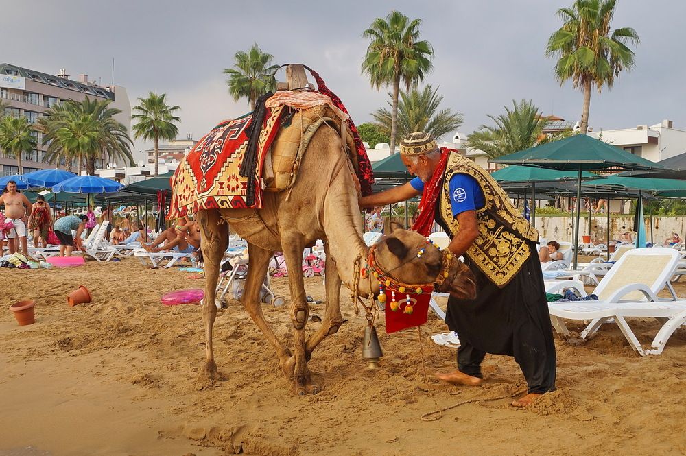 Photograph by Галина Кан