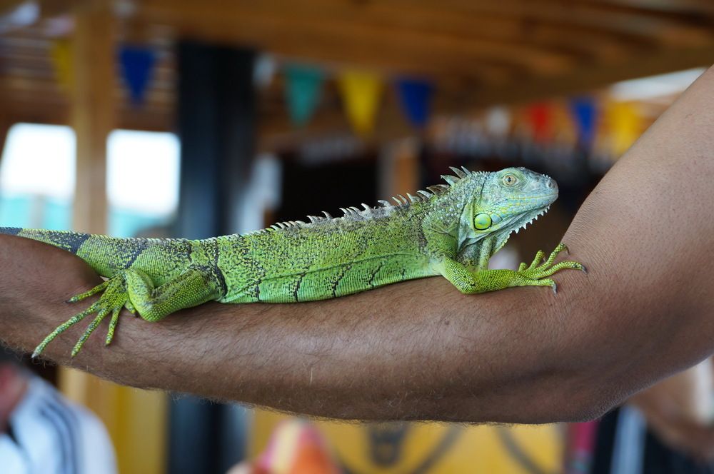 Photograph by Галина Кан