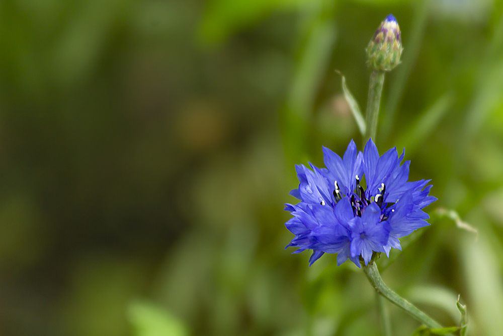 Photograph by Татьяна Нестеренко