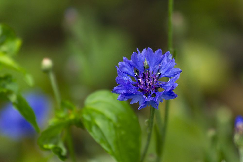 Photograph by Татьяна Нестеренко