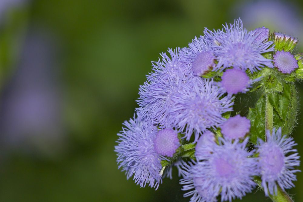 Photograph by Татьяна Нестеренко