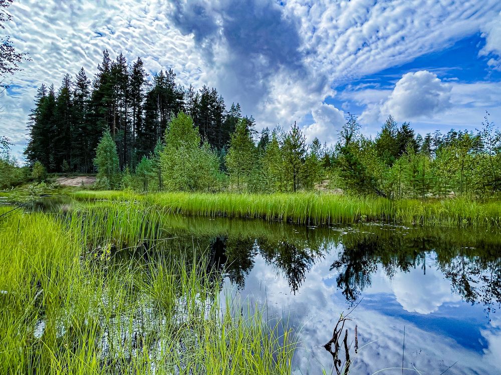 Photograph by Nikolai Osokin