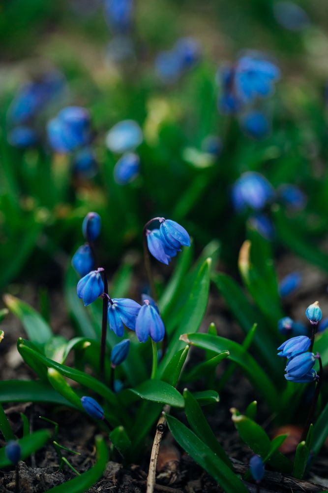 Photograph by Юлия Герман