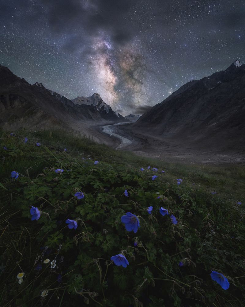 Photograph by Ranit Dholey