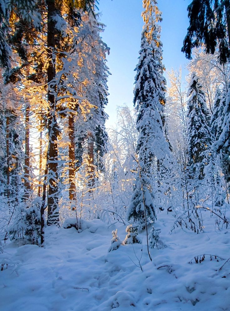 Фотография автора Inna Evseeva