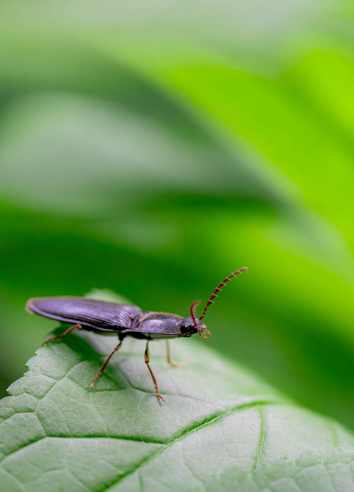 Photograph by Tatsuya Nieda