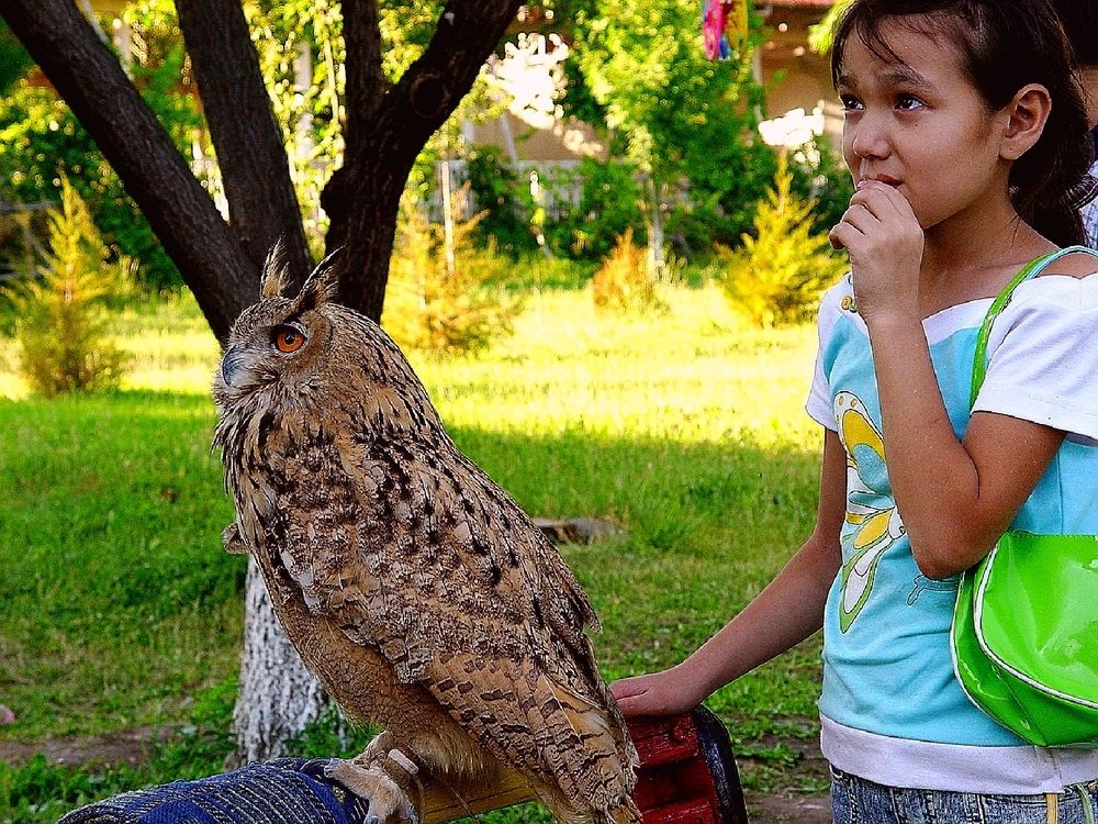 Photograph by Hvabek Kim