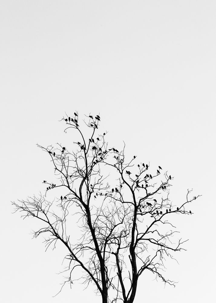 Photograph by Arindam Das