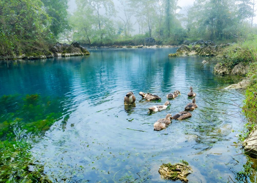 Фотография автора Do Trung