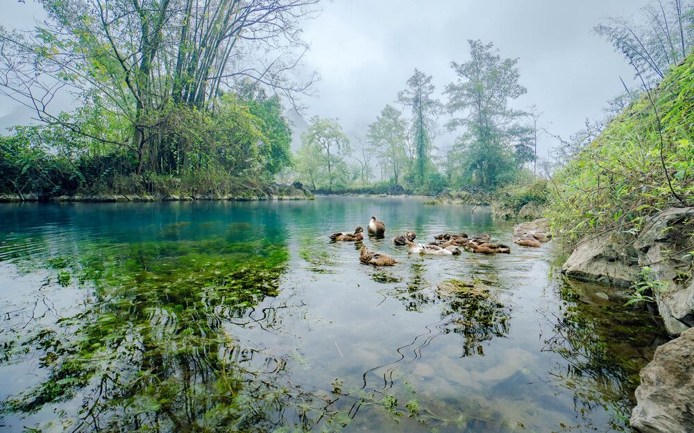 Фотография автора Do Trung