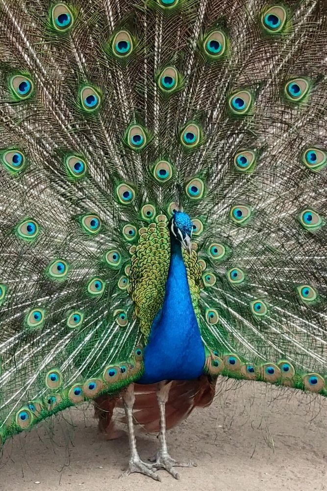 Photograph by Ирина Строкова