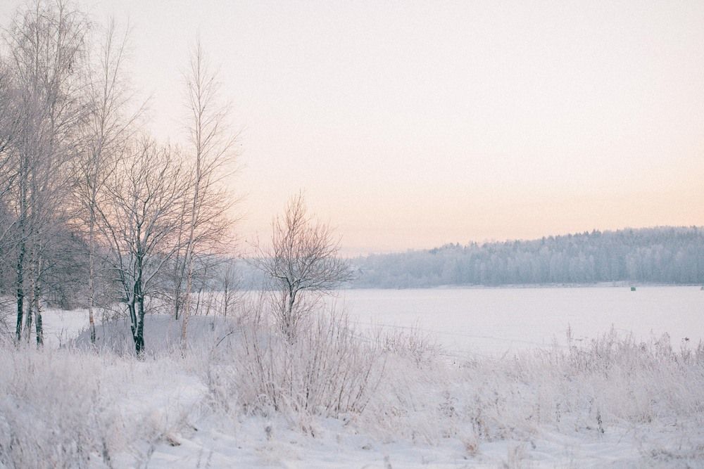 Photograph by Юлия Герман