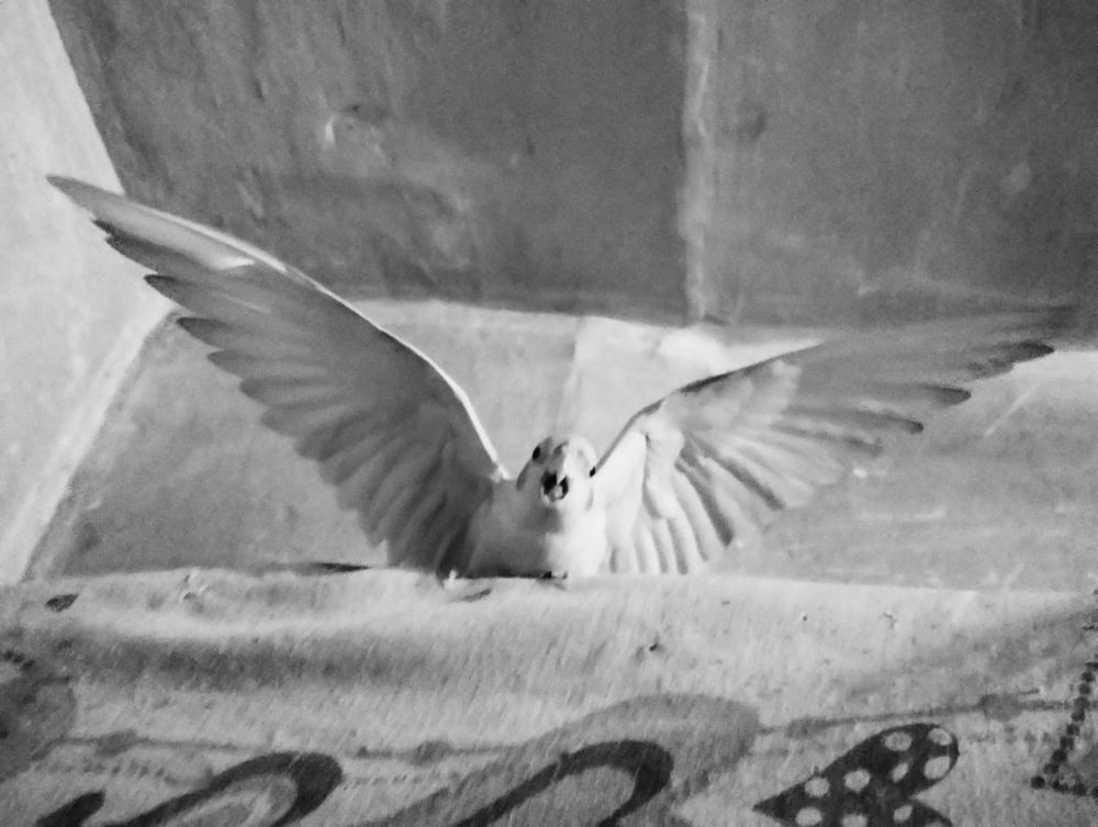 Photograph by Emin Vardanyan