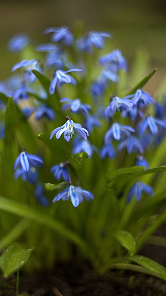 Photograph by Юрий Кашлевский