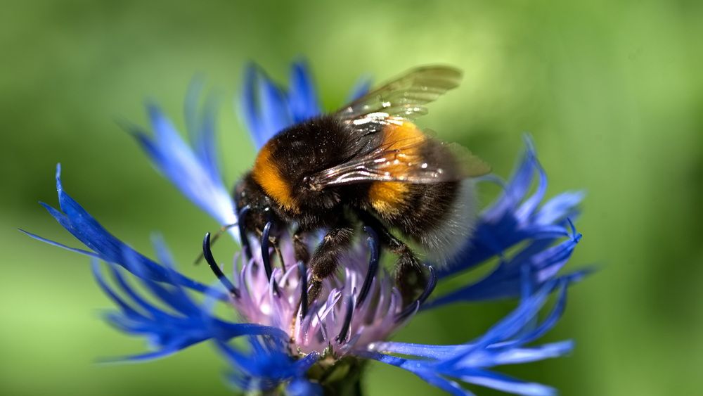 Photograph by Юрий Кашлевский