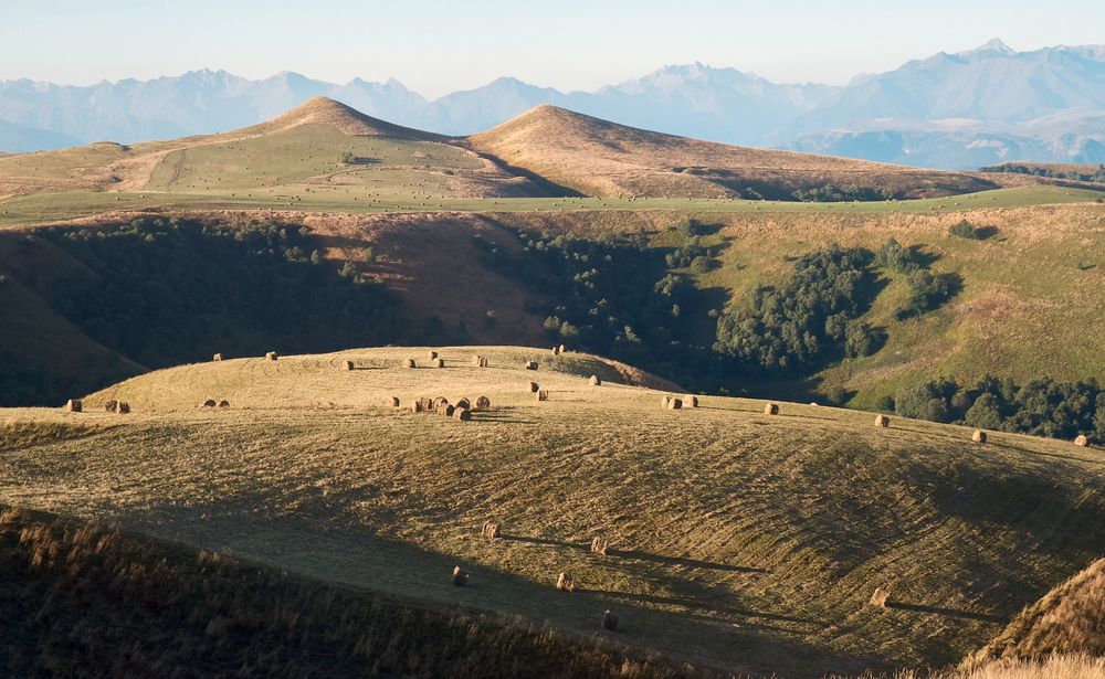 Фотография автора Харламова Валентина