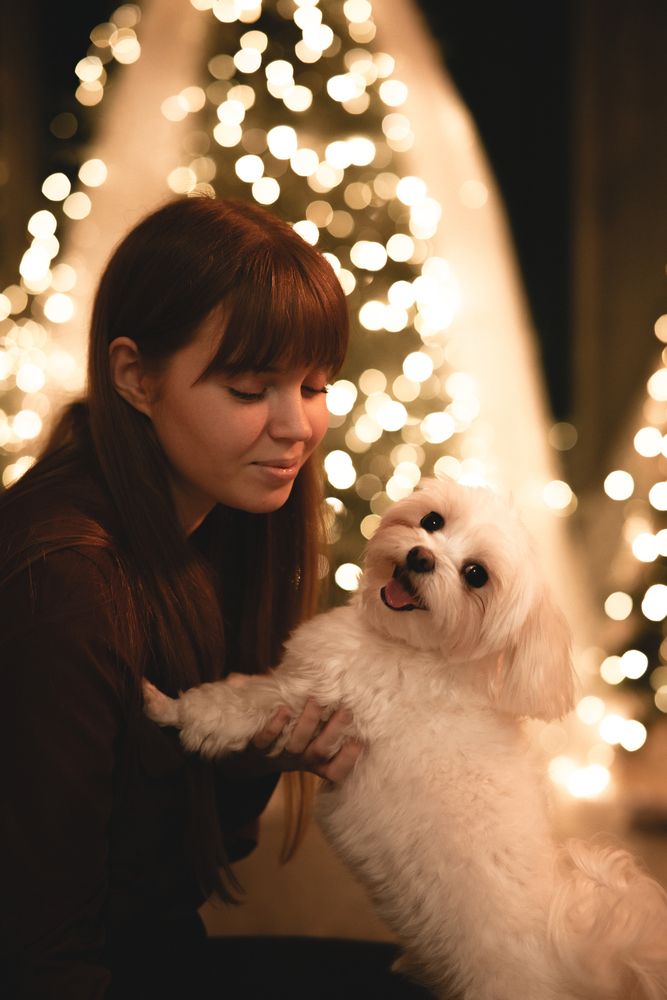 Photograph by Анастасия Дементьева