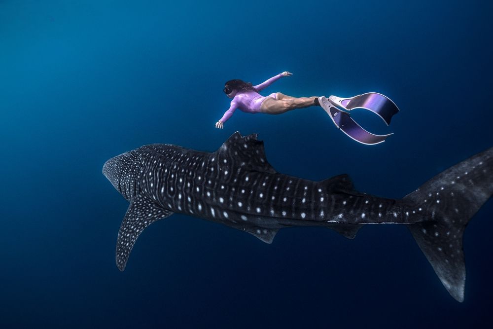 Flying Over the Giant