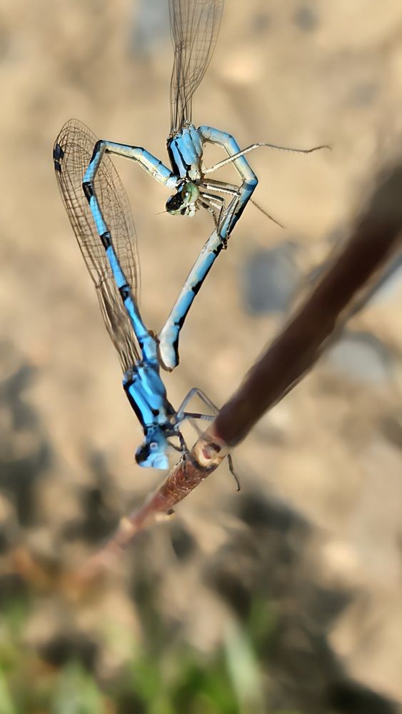 Фотография автора Елена Федоткина