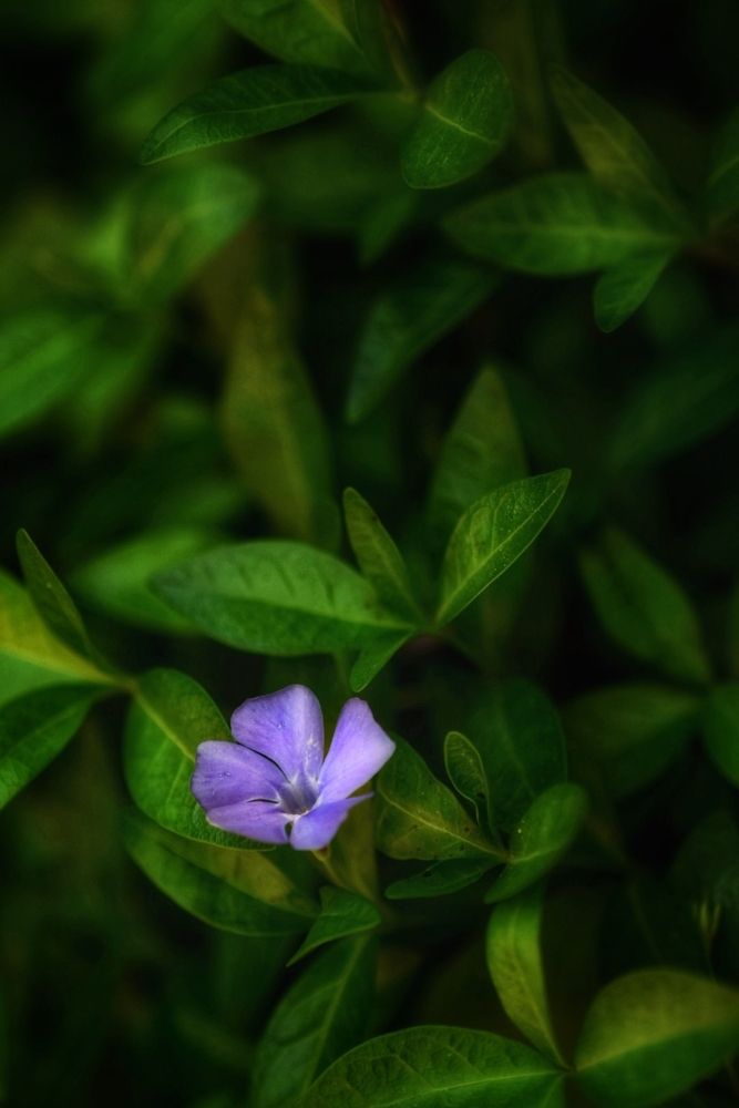 Photograph by Оксана Вадалагина