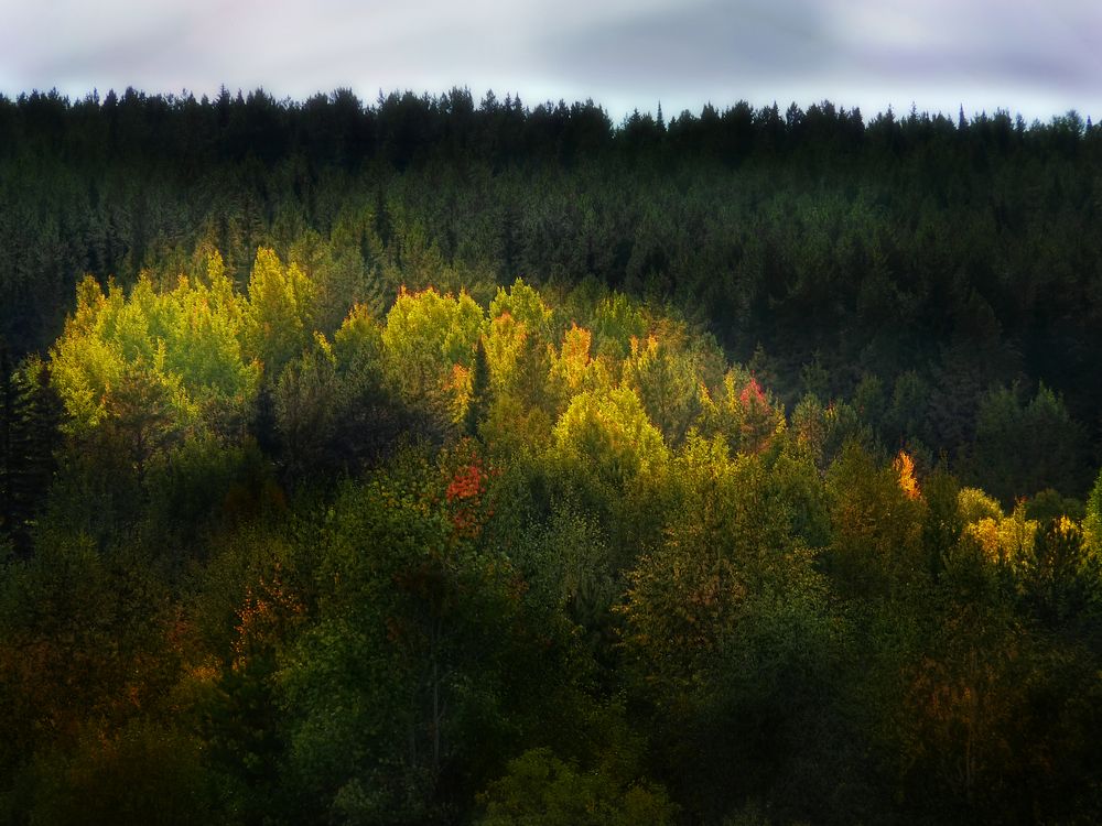 Photograph by Валерий Алфимов