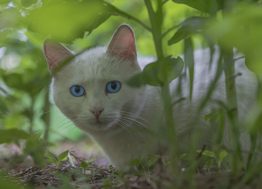 Фотография автора ПУЗЕНКО ДМИТРИЙ