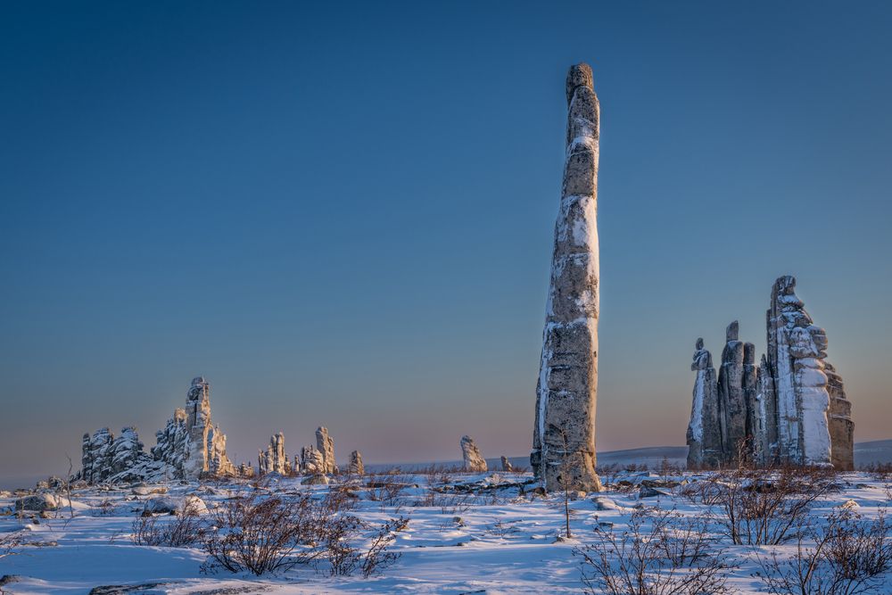Фотография автора Ольга Мусиенко
