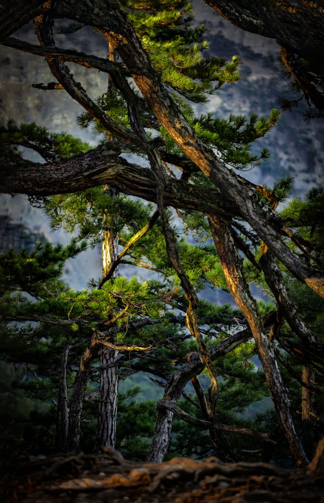 Photograph by Игорь Толкачев