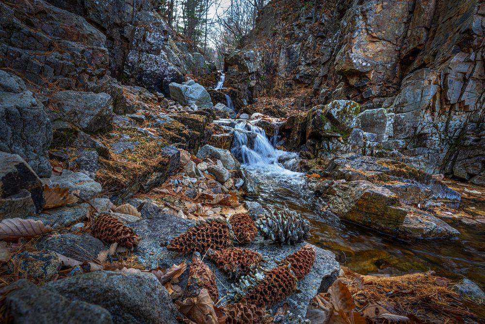 Фотография автора Ольга Мусиенко