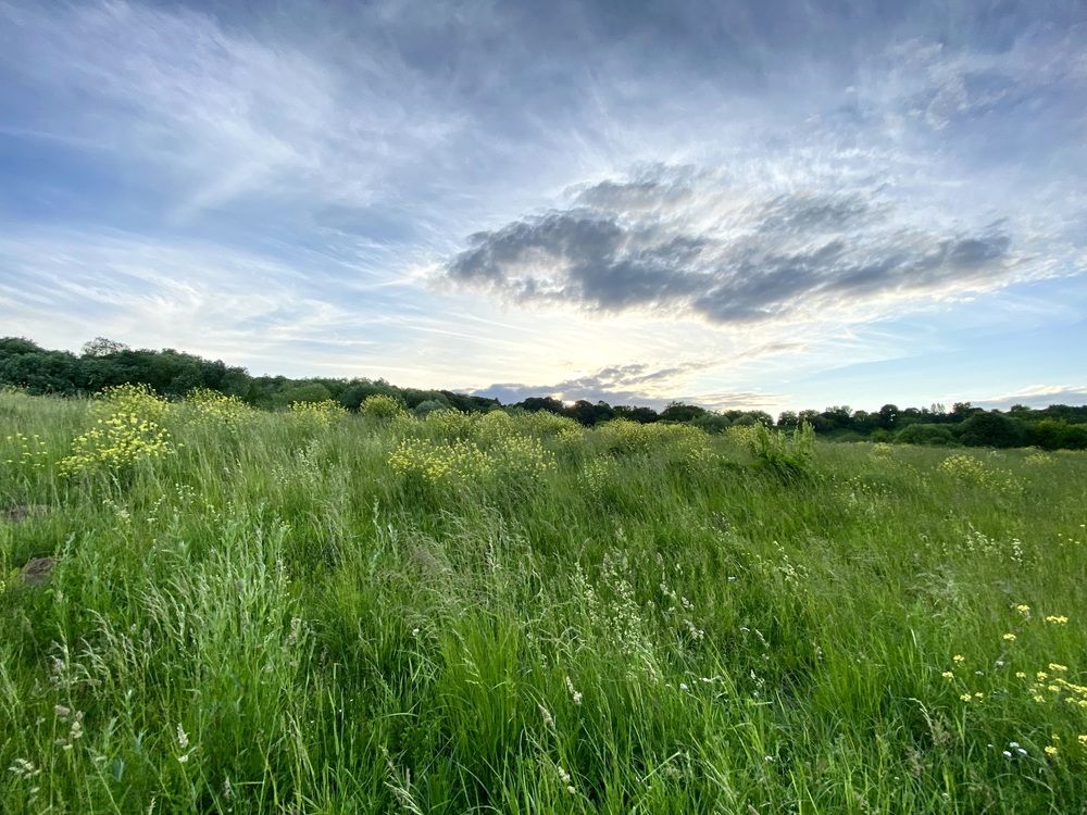 Photograph by Елизавета Корнилова