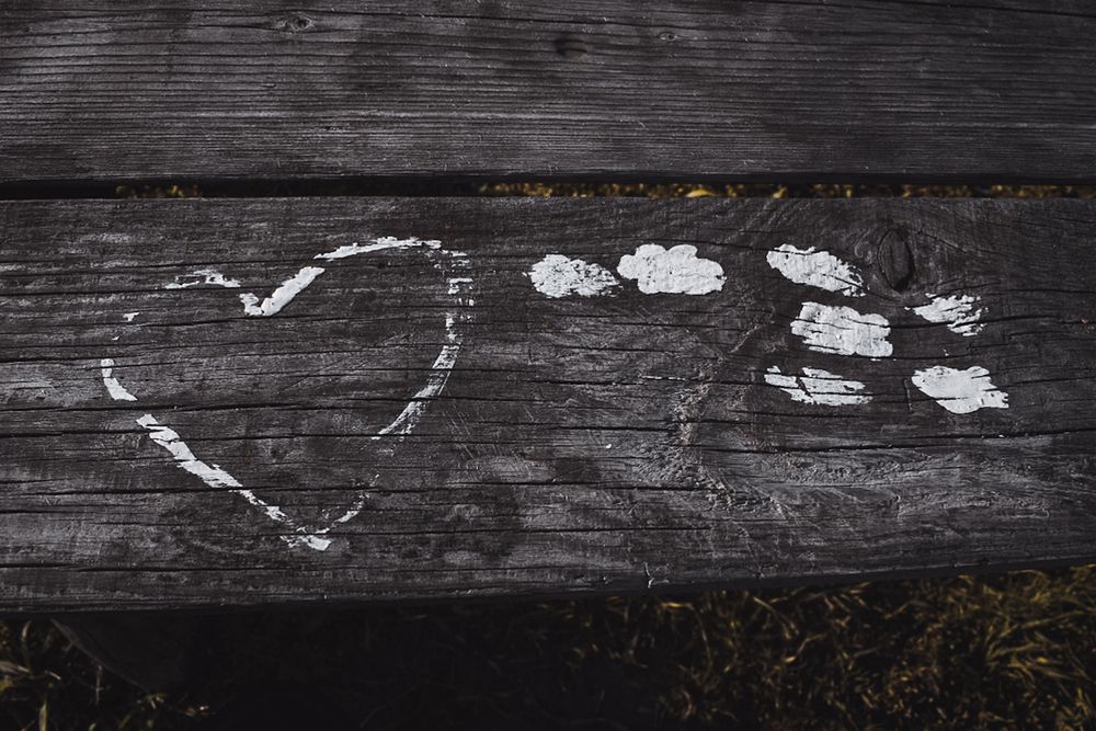 Photograph by Анастасия Дементьева