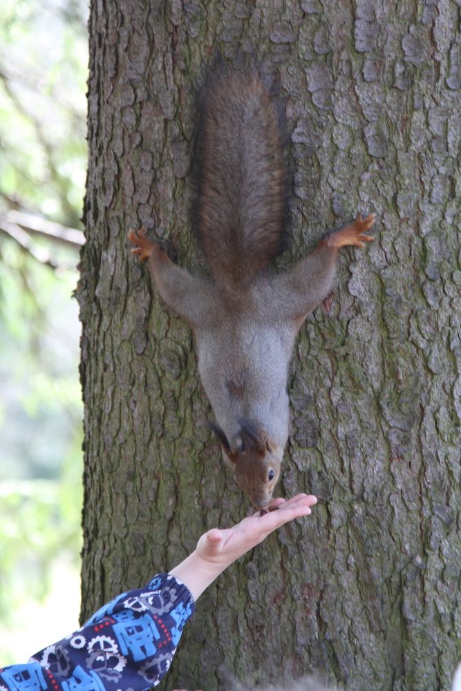 Photograph by Владимир Сптридонов