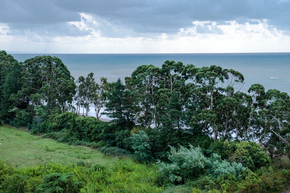 Photograph by Римма Волченко