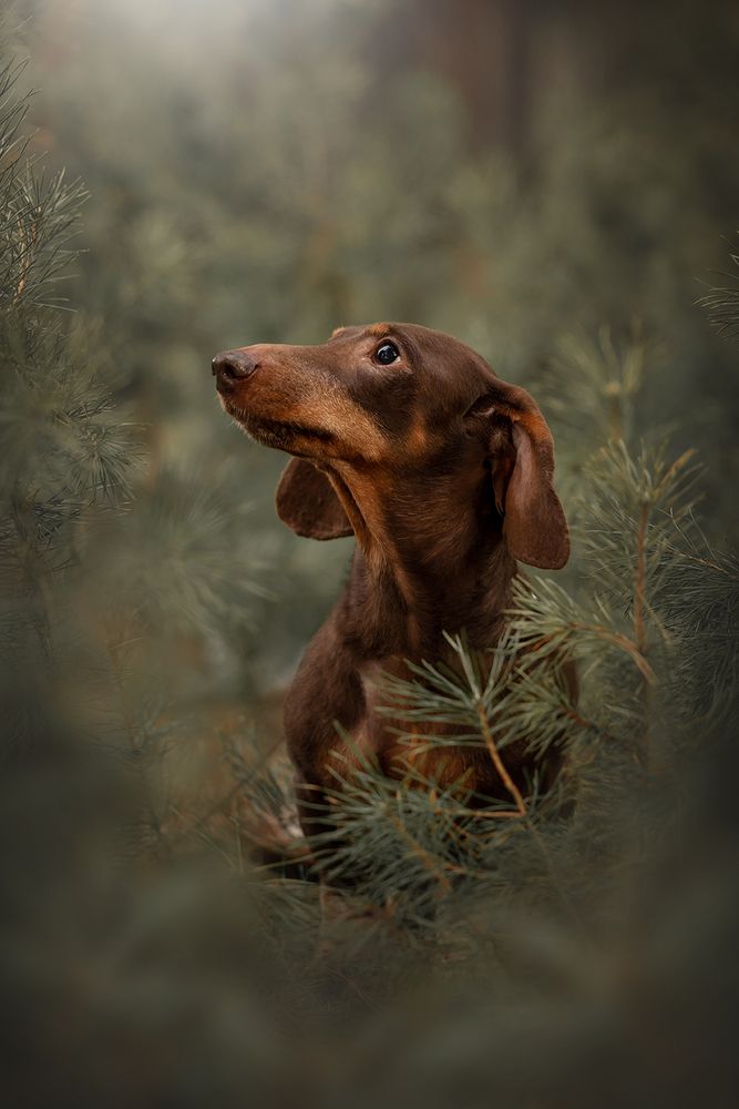 Photograph by Ольга Легенькая