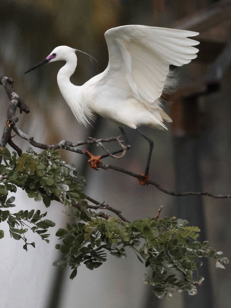 Photograph by Ольга Трушкова