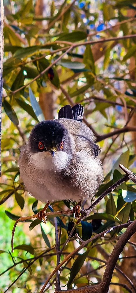 Photograph by Nadzeya