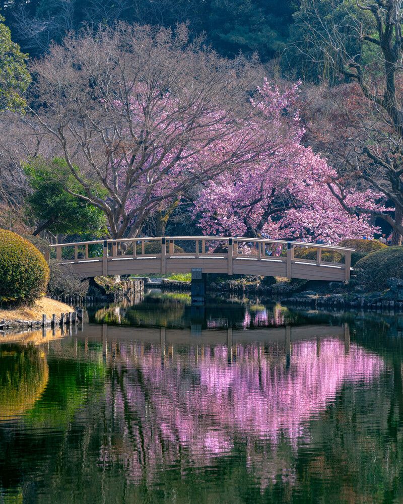 Photograph by Tatsuya Nieda