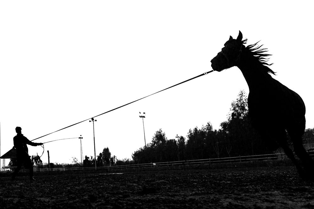 Photograph by Morteza pahang