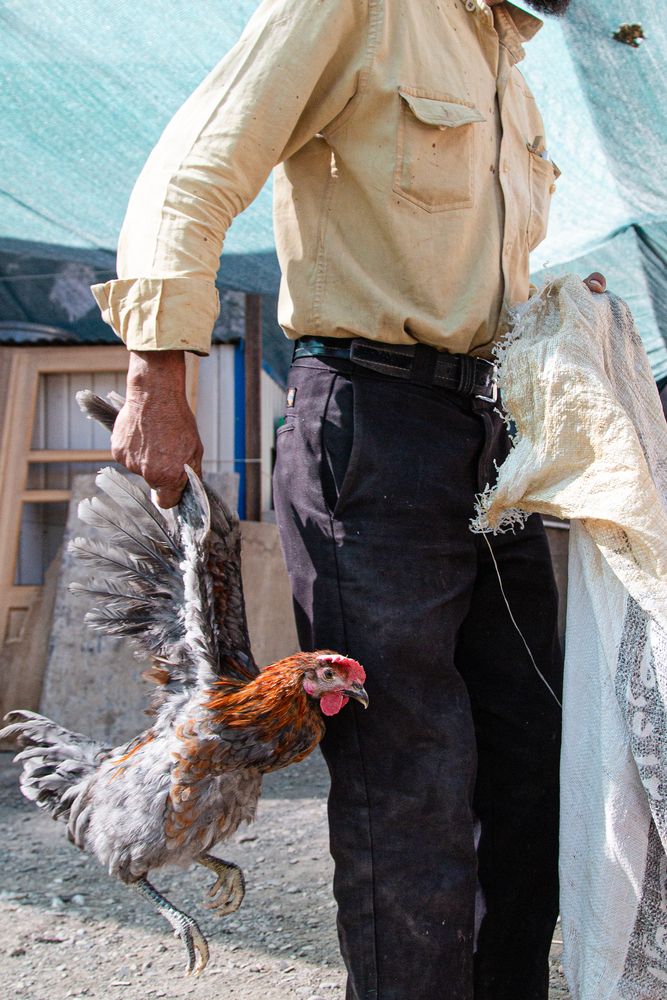 Photograph by Morteza pahang