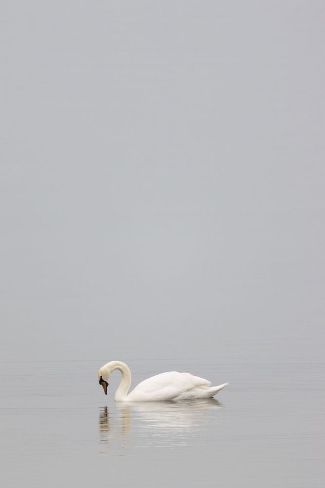 Photograph by Ольга Трушкова