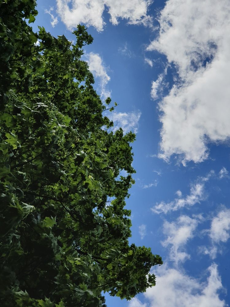 Фотография автора Katz