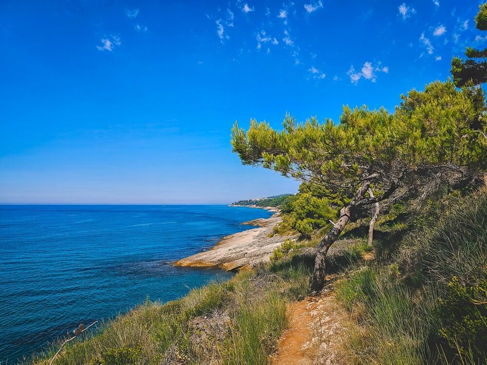 Фотография автора Katz