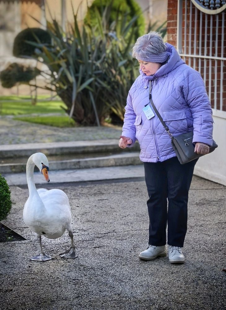 Photograph by Кривенко Владимир