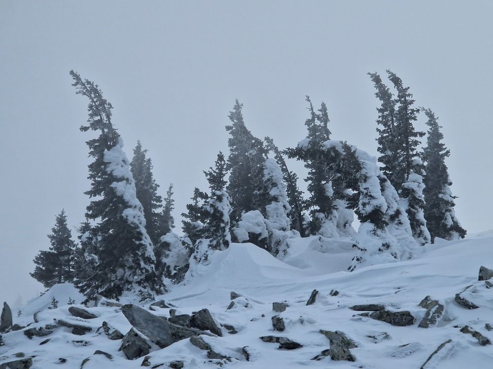 Photograph by Максим Ташкинов