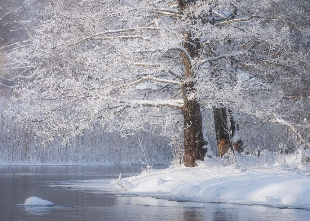 Photograph by Andrew Kuzmin